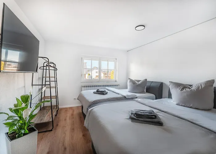 Check-in By Beone Rw-n Ротвайль