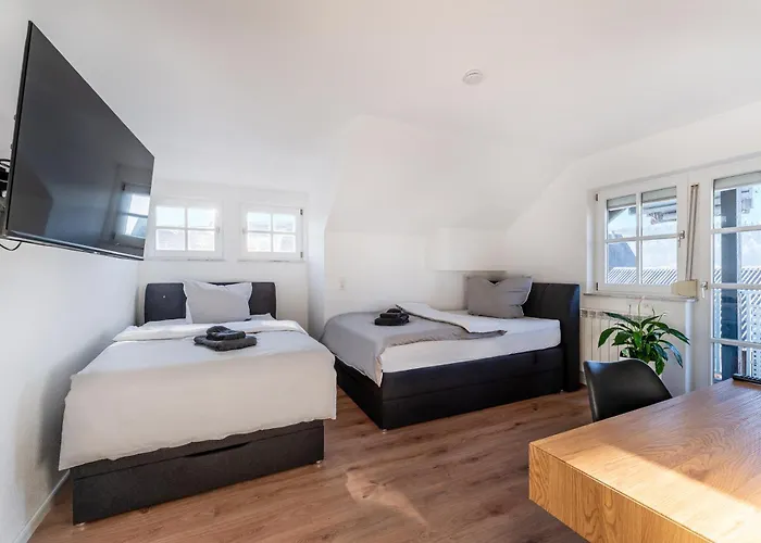 Check-in By Beone Rw-n * Ротвайль